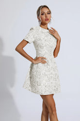 Astrid Silver Jacquard Floral Mini Dress