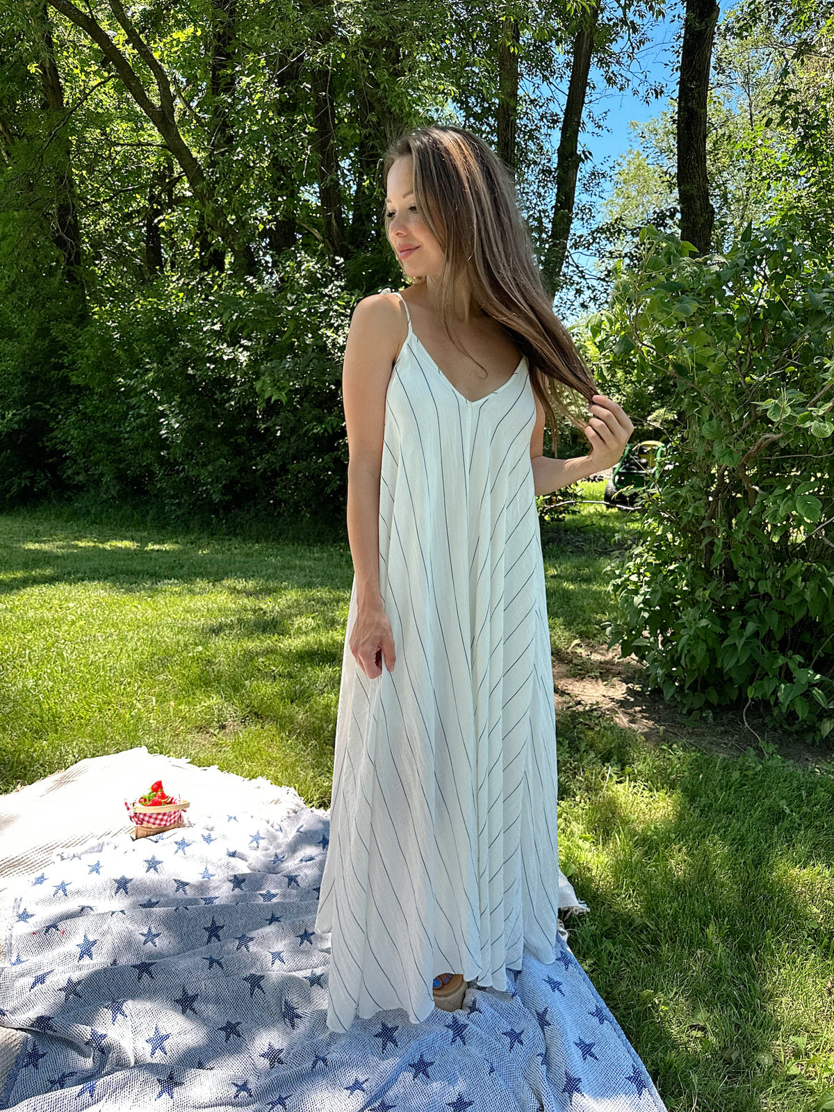 Frankie White and Blue Stripe Tie Maxi Dress